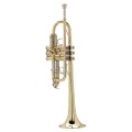 TROMBA SOUNDSATION  IN DO STPGD-10C GOLD_5